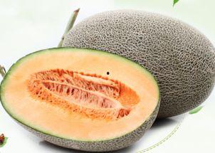 复古吃哈密瓜,复古风吃哈密瓜体验记