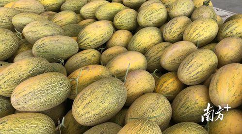 5000区线下吃瓜,一场别开生面的夏日狂欢