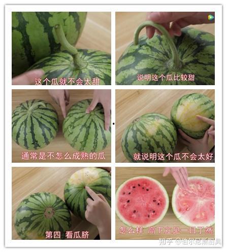 5000区线下吃瓜,一场别开生面的夏日狂欢