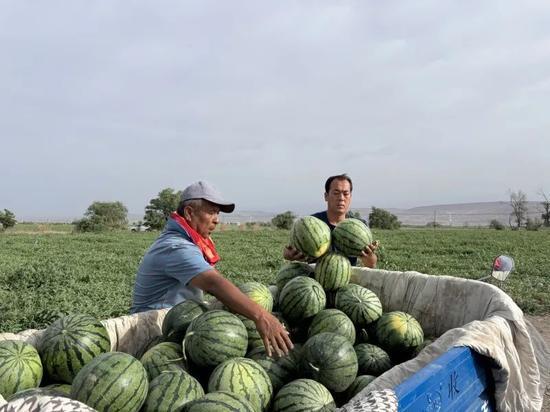 固始吃瓜比赛,一场舌尖上的狂欢盛宴