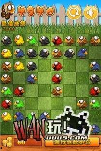 小鸟排队吃瓜,一场别开生面的自然盛宴