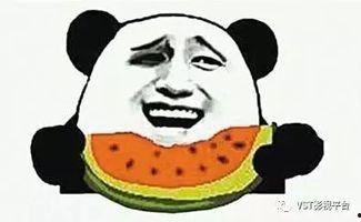 吃瓜群众刺绣视频,刺绣艺术新潮流，一针一线绘生活