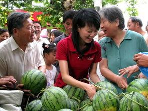 吃瓜群众刺绣视频,刺绣艺术新潮流，一针一线绘生活