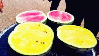 呱呱爆料911吃瓜,呱呱爆料吃瓜群众揭秘