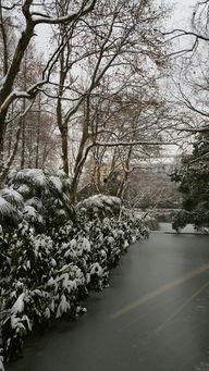 雪景拍摄吃瓜图片