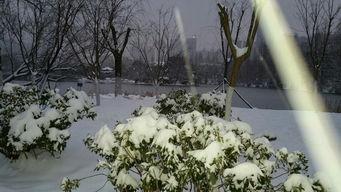 雪景拍摄吃瓜图片