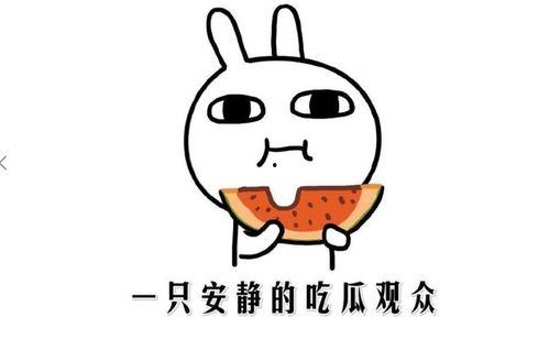 吃瓜抖音人,揭秘网络短视频背后的故事