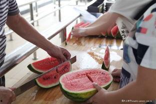 山东画室在线吃瓜