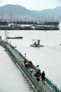 吃瓜渔船,揭秘海上美食之旅