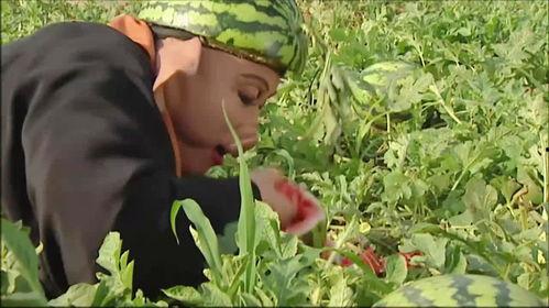 带老师吃瓜,一场别开生面的校园趣事