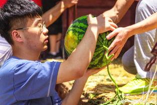 吃瓜吞金,揭秘娱乐圈的奢华生活与惊人消费