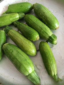 角瓜怎么做着吃,多样烹饪方法，尽享美味佳肴