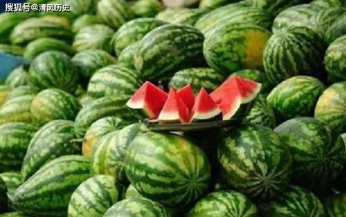 娱楽吃瓜菌,娱楽吃瓜菌带你探秘明星幕后故事