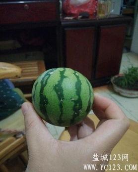 小沙带你吃瓜,揭秘娱乐圈那些事儿