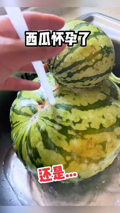 吃瓜搞笑视频配音,笑料百出！吃瓜搞笑视频配音大盘点