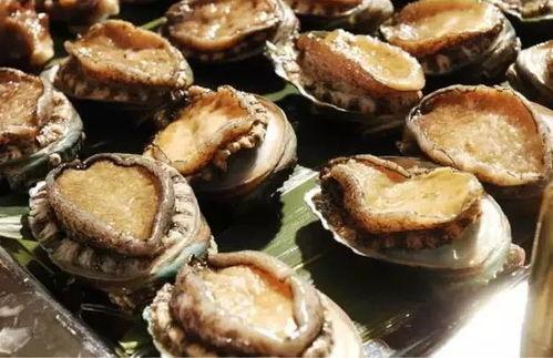 鲍鱼瓢瓜怎么吃,探索海鲜与蔬菜的完美融合