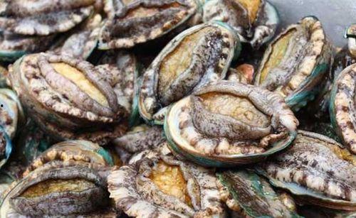 鲍鱼瓢瓜怎么吃,探索海鲜与蔬菜的完美融合