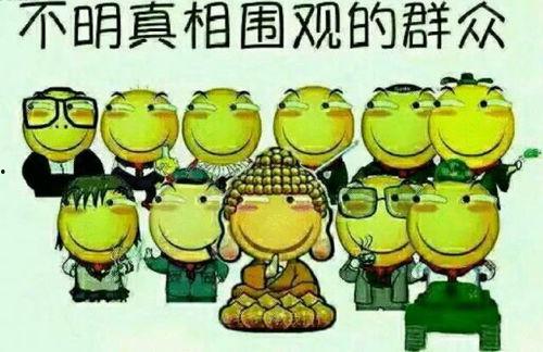 吃瓜群众悠闲人生下载,吃瓜群众的心灵之旅