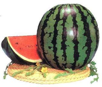 拾瓜吃瓜,探寻瓜果世界的甜蜜奥秘