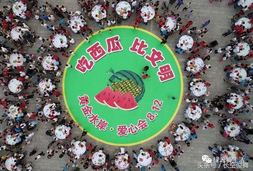 吃瓜文明,吃瓜群众视角下的社会百态