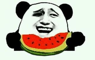 吃瓜文明,吃瓜群众视角下的社会百态