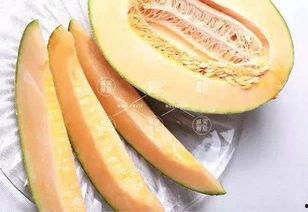 来中国吃哈密瓜