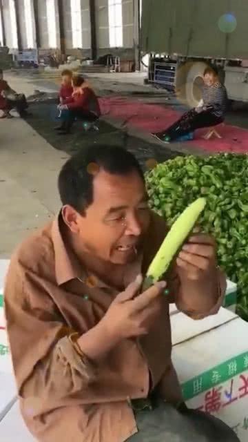 退休大爷吃瓜,闲话家常，品味人生