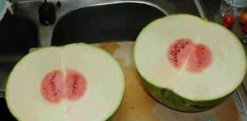 吃瓜喝茶图片大全搞笑,让你捧腹大笑