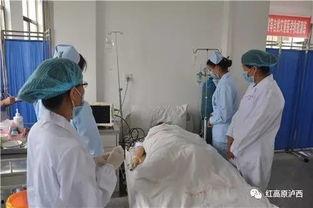 吃瓜妇科医生,吃瓜医生视角下的妇科世界揭秘