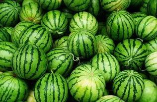 吃瓜群怎么找,轻松找到热门话题的聚集地