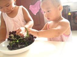 小孩姐吃瓜趣事,童言无忌，欢乐满溢