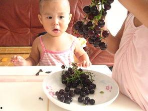 小孩姐吃瓜趣事,童言无忌，欢乐满溢