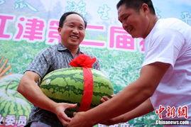 重庆人疫情吃瓜,全民娱乐与防疫生活