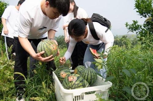 重庆人疫情吃瓜,全民娱乐与防疫生活