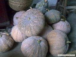 崇文饭店老板吃瓜,揭秘餐饮界幕后趣闻