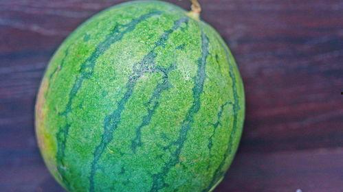 崇文饭店老板吃瓜,揭秘餐饮界幕后趣闻