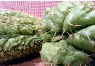 吃佛手瓜怎么煮汤