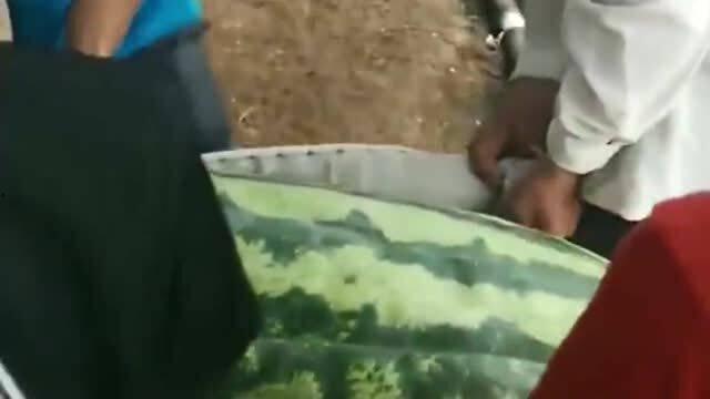 大内蒙吃瓜,探寻草原美食的独特魅力