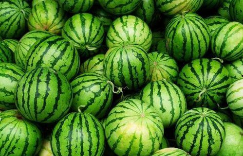 康总吃瓜,揭秘娱乐圈幕后真相