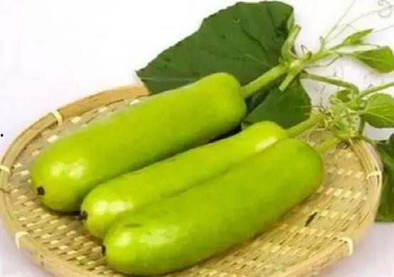 吃瓠子瓜会中毒吗,了解预防措施至关重要