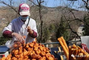 林州吃瓜配音,笑谈人间百态