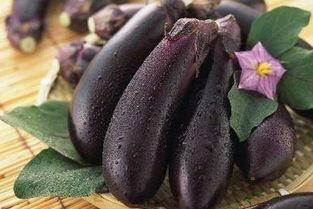 茄子与水瓜能一起吃吗,能否同食？