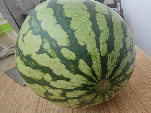 提醒吃瓜,揭秘娱乐圈最新热点事件