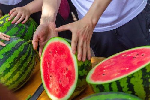 常州学院吃瓜,一网打尽校园新鲜事