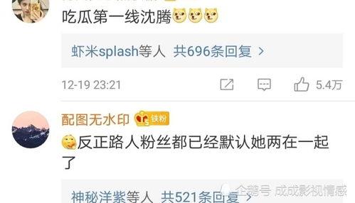 评论区吃瓜现场,一场全民参与的娱乐盛宴