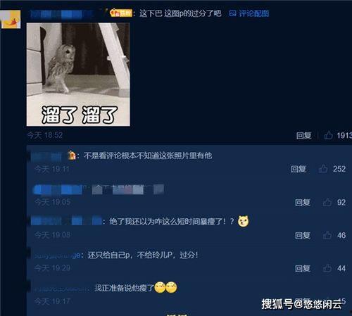 评论区吃瓜现场,一场全民参与的娱乐盛宴