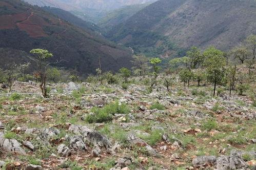 吃瓜群众珲春,吃瓜群众眼中的魅力之城