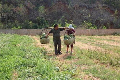 吃瓜群众珲春,吃瓜群众眼中的魅力之城