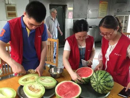 吃瓜老太图片大全,趣味横生的日常生活瞬间