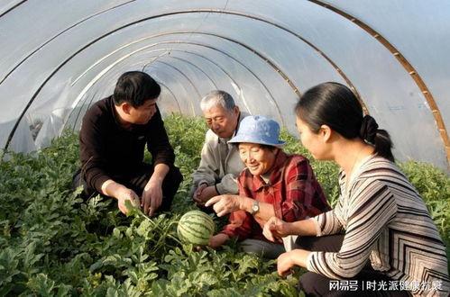 吃瓜老太图片大全,趣味横生的日常生活瞬间